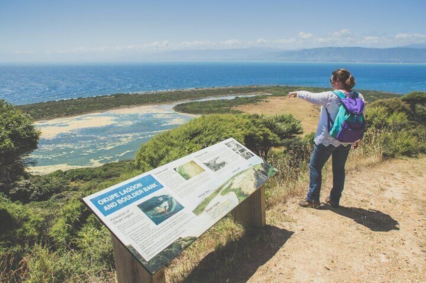 A person standing on a dirt path with a sign about Okapu Lagoon and Boiling Tank. 3