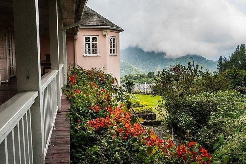 Exotic Blue Mountain Coffee Tour 1