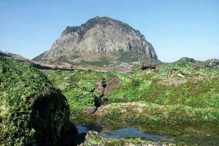 West of jeju private Jumbo taxi tour with Mr.KO (Suhong) 2