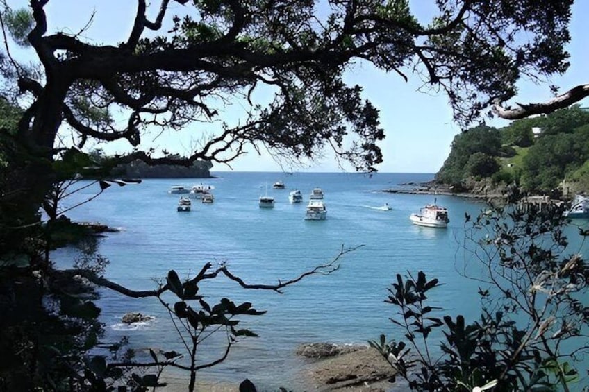 Private Auckland North Eastern Coast Tour 3
