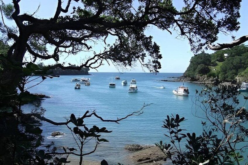 Private Auckland North Eastern Coast Tour 3