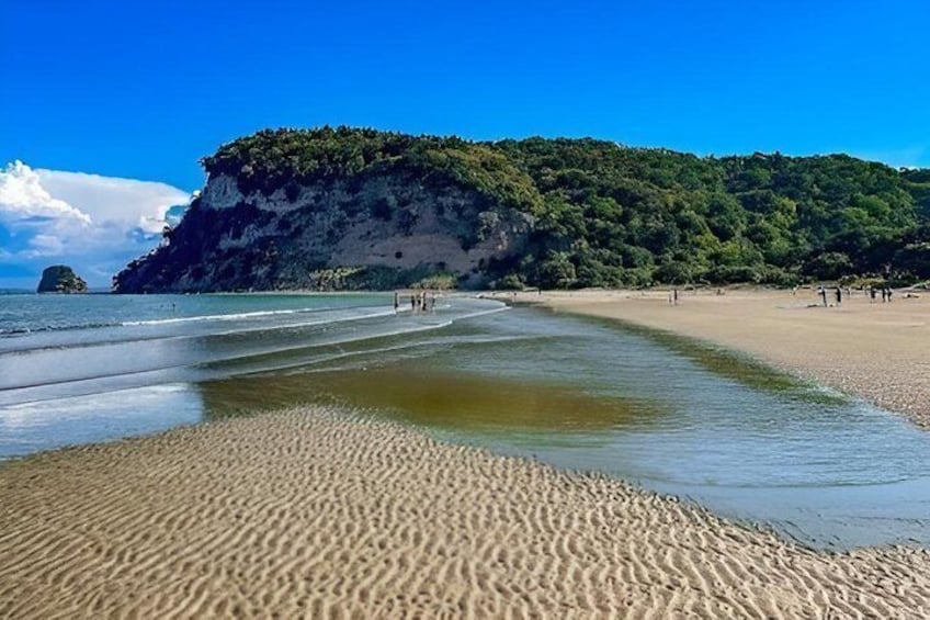 Private Auckland North Eastern Coast Tour 2