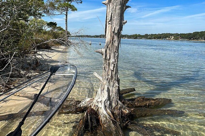 Clear Kayak Ecotour Destin Ft. Walton Beach 5