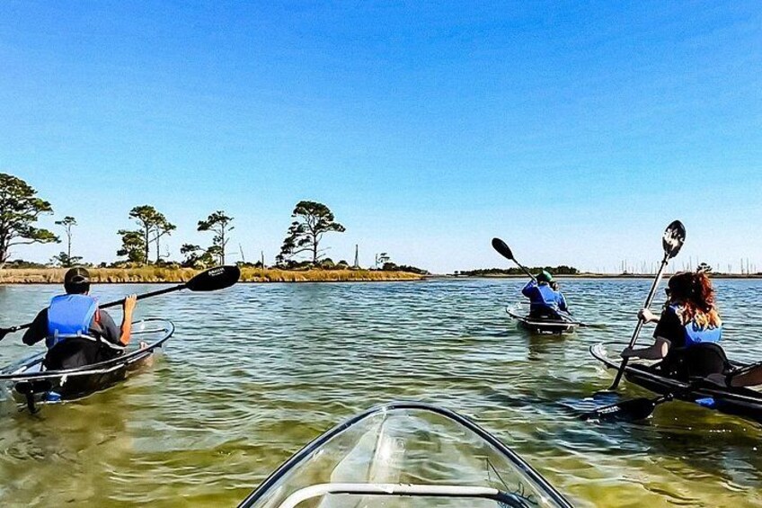 Clear Kayak Ecotour Destin Ft. Walton Beach 4