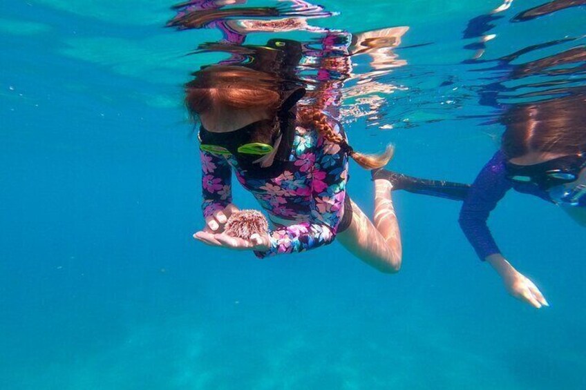 Snorkeling Aguadilla for Families with Children