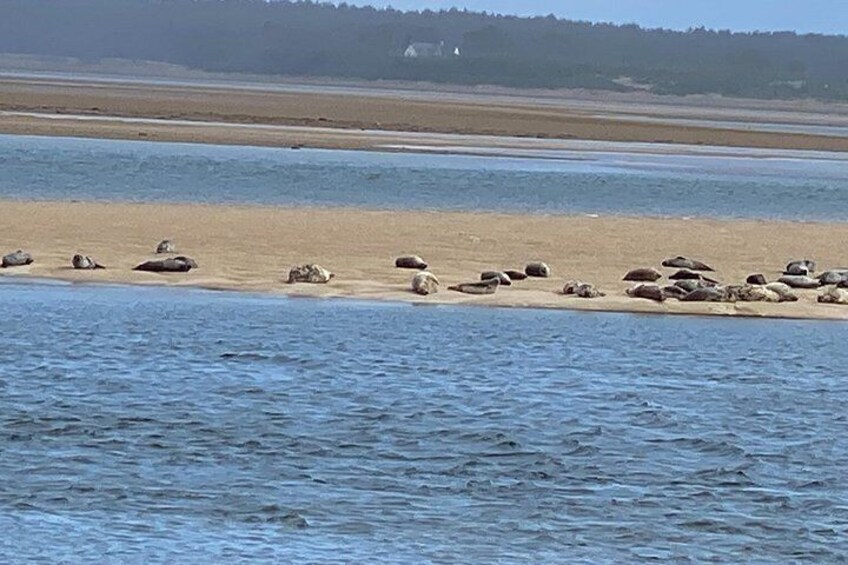 Una playa con rocas dispersas y agua tranquila. 5