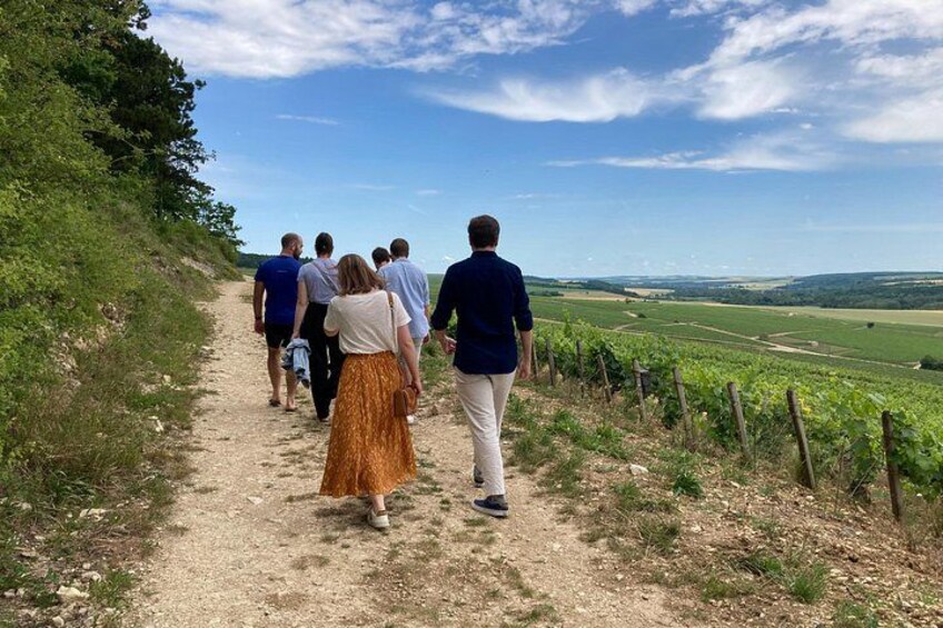 Walk in the vineyards of Chablis Grands Crus 1