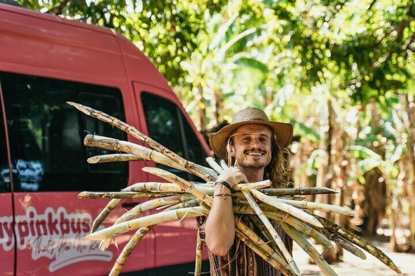 A person holding a bunch of bamboo sticks in front of a red van with 'pink bus' written on it. 3