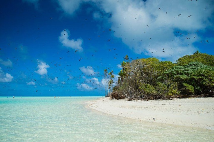 A beach with clear turquoise water, white sand, and dense green foliage. 2