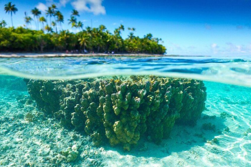 Un récif corallien aux eaux cristallines, une plage de sable fin et une île tropicale, avec des palmiers en arrière-plan. 2