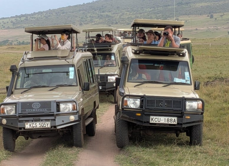 En række Land Cruiser-køretøjer på en grusvej gennem et græsmark. 3