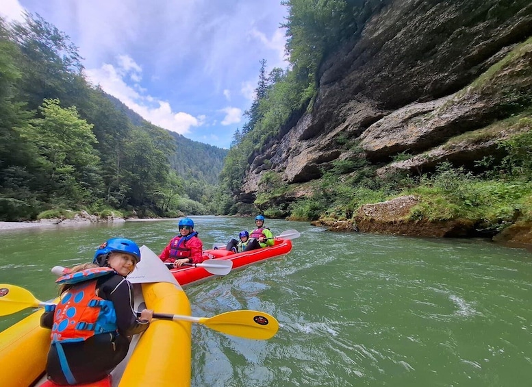 Picture 3 for Activity 2h fr Vienna: Alpine River "Family Kayaking Adventure" 3