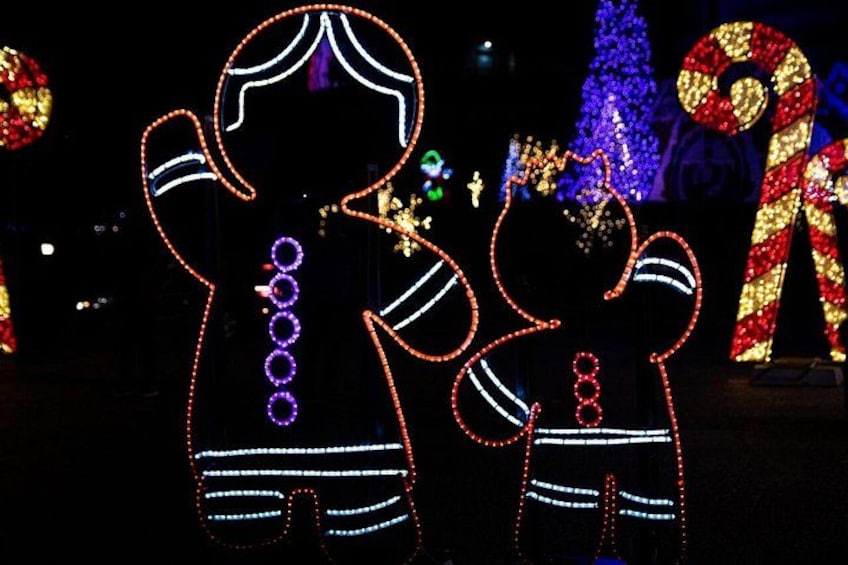 Niagara Falls Winter Festival of Lights (November 18 - January 7) 2