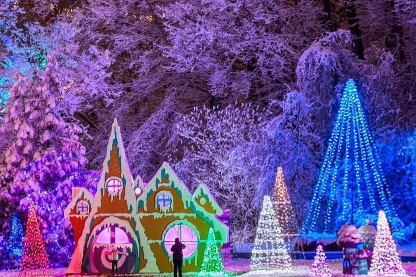 Niagara Falls Winter Festival of Lights (November 18 - January 7) 4