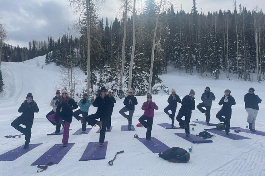 A group of people doing yoga on mats in a snowy outdoor setting. 2