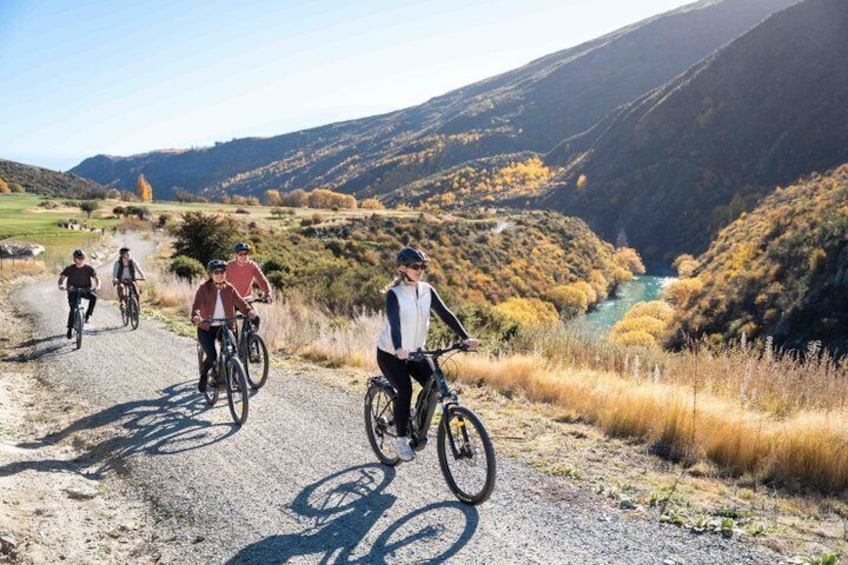 E-Bike Adventures Through the Wineries in Gibbston 1