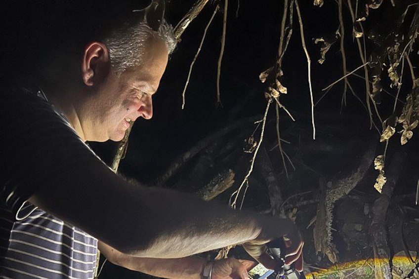 Night Walk Tour and Jungle Dinner in Jaco 4