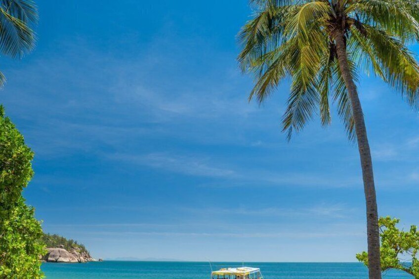 Aquascene Magnetic Island Quick Dip Trip 5