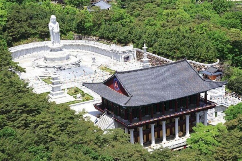 Daegu's Top Attractions on a private tour with a Licensed guide 5