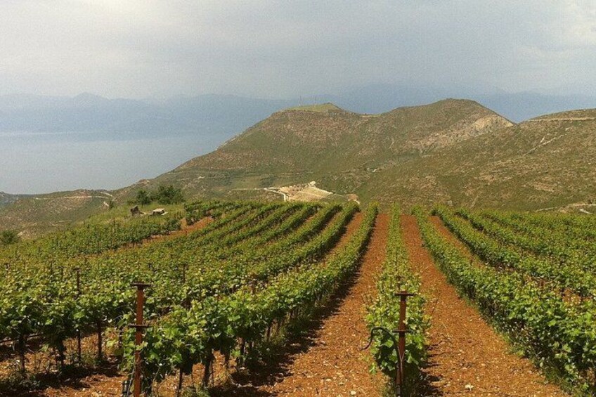 Private Tour Kalavrita, Cave lakes, monastery, winery from Patras 2