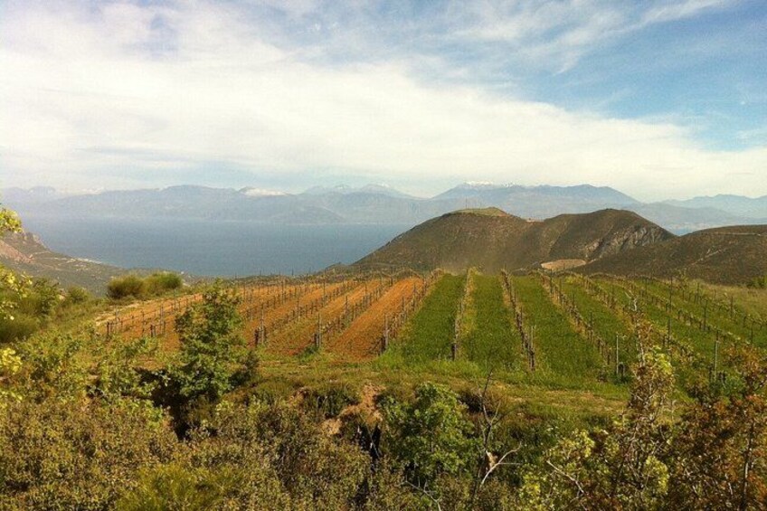 Private Tour Kalavrita, Cave lakes, monastery, winery from Patras 5