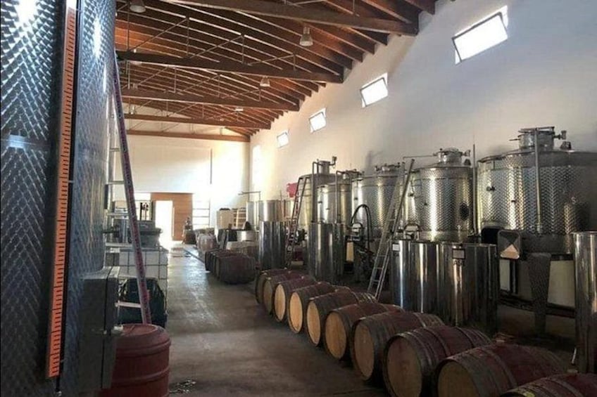 Manousakis Winery Shuttle Service Tour and Taste 4