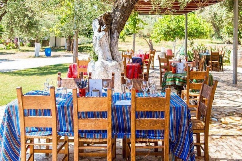 Manousakis Winery Shuttle Service Tour and Taste 2