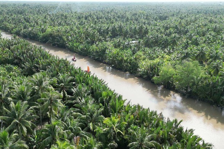 Immerse in the paradise of coconut trees on a sailboat 5