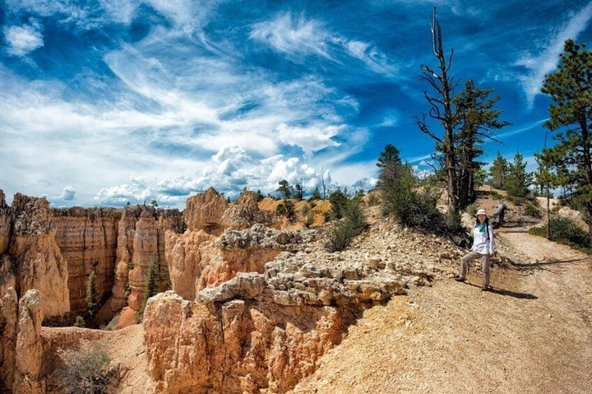 Explore Bryce Canyon: Private Full-Day Tour from Salt Lake City 5