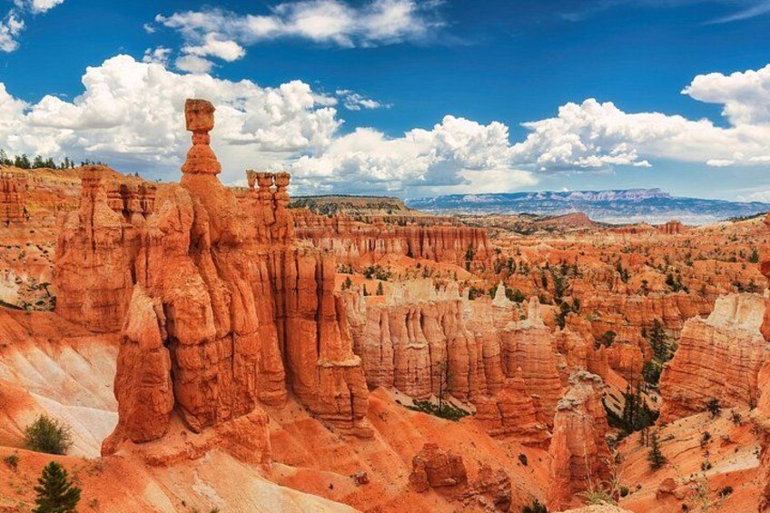 Explore Bryce Canyon: Private Full-Day Tour from Salt Lake City 1