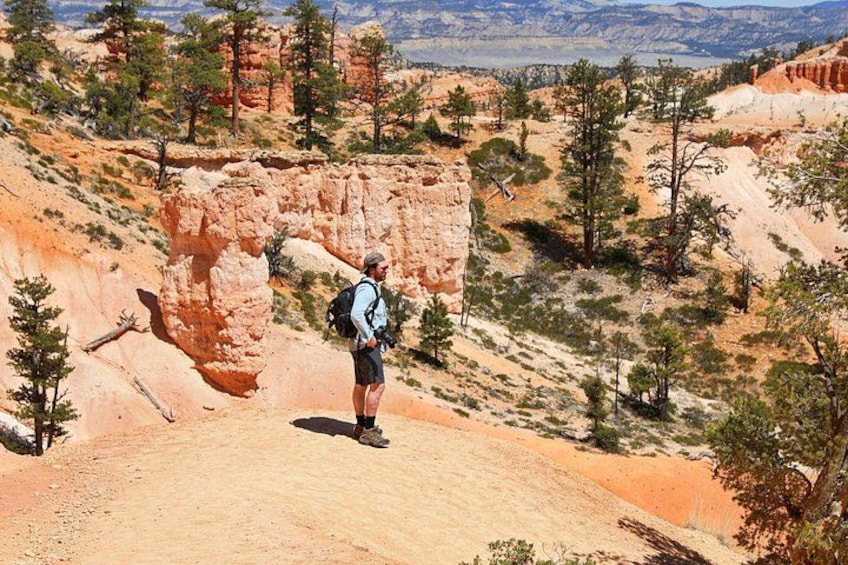 Explore Bryce Canyon: Private Full-Day Tour from Salt Lake City 4