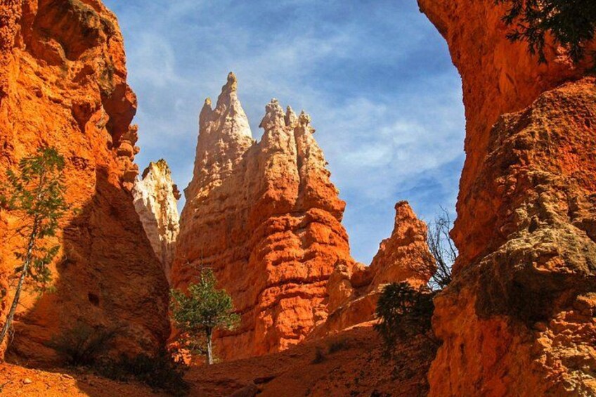 Explore Bryce Canyon: Private Full-Day Tour from Salt Lake City 3