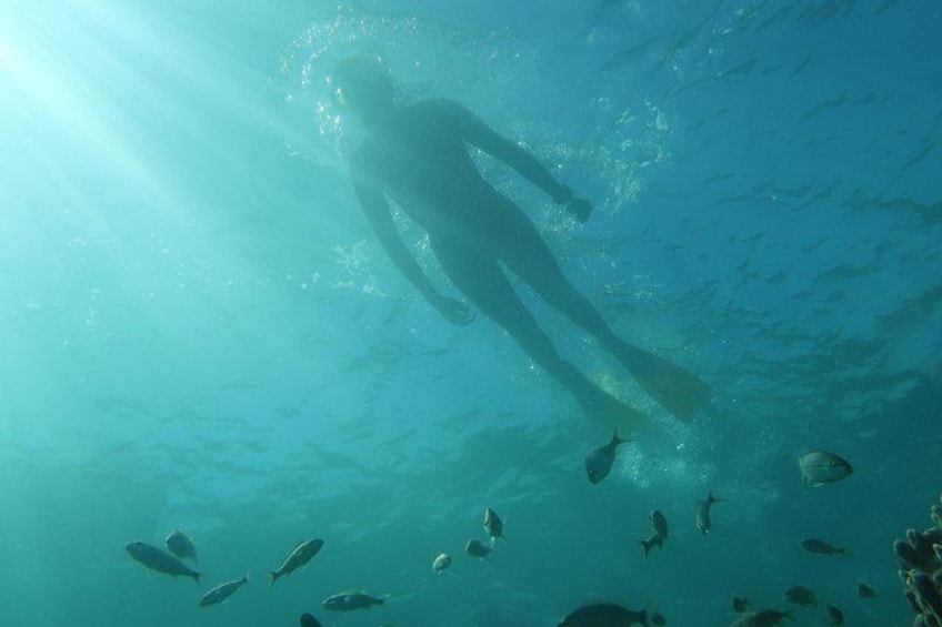 Une personne nageant sous l’eau, les rayons du soleil filtrant à travers l’eau. 5
