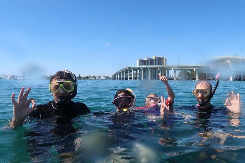 A i Snorkeling - Authentic Interactions with Marine Life Daily! 4