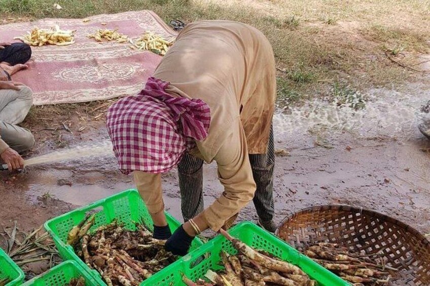 Una persona clasificando plátanos en una estera, con cestas y un cuerpo de agua al fondo. 4