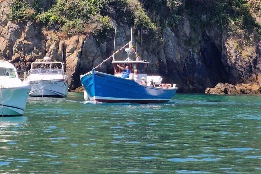 Unrivalled Coastal Tour to Saint's Bay Harbour 3