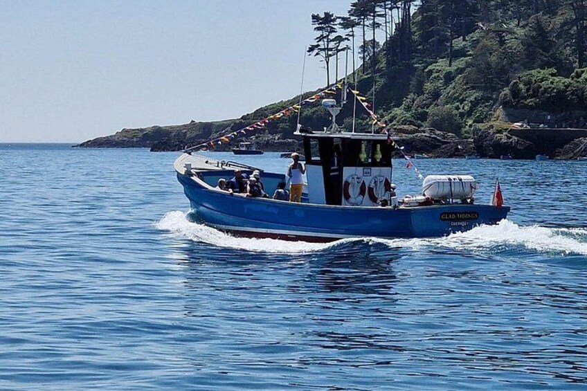 Ein blaues Boot mit Passagieren bewegt sich auf ruhigem Wasser, im Hintergrund eine felsige Küstenlinie. 2
