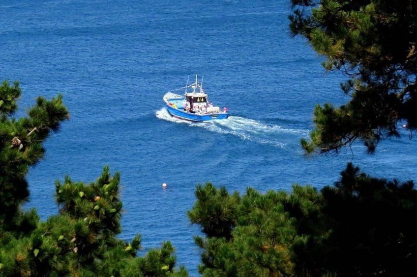 A boat on a blue body of water surrounded by trees. 2
