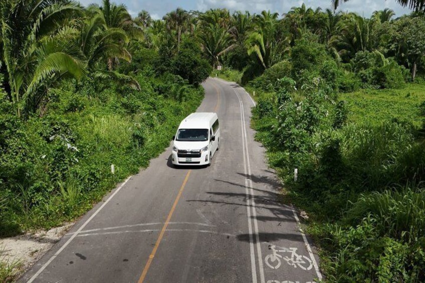 A white van driving on a road with a bicycle lane, surrounded by lush greenery and palm trees. 5