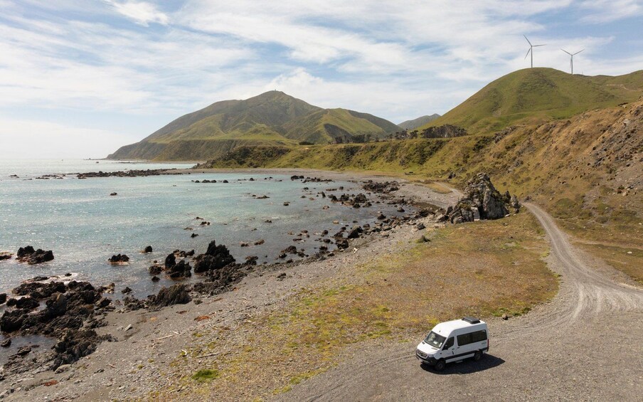 Wellington: Half Day Seal Coast Safari 1