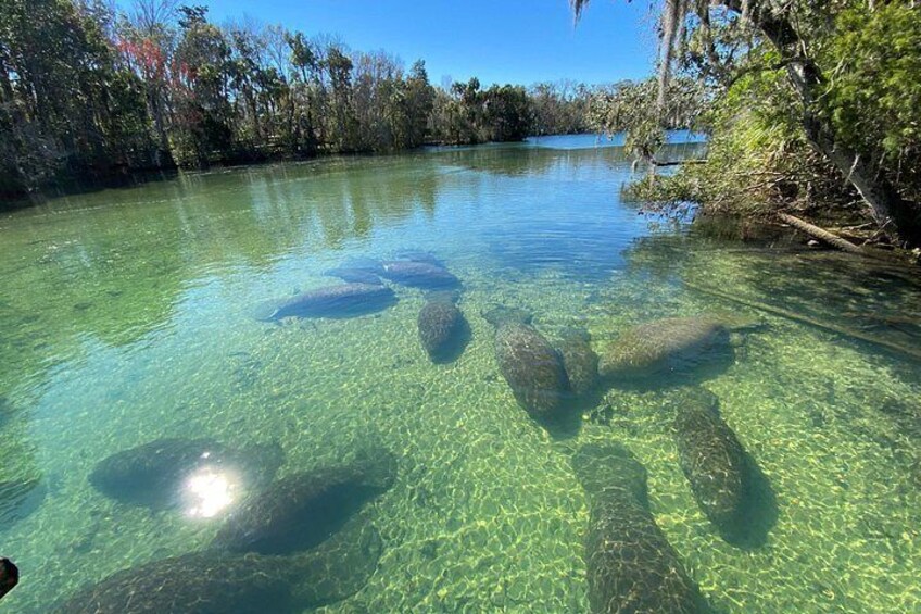 A clear water body with visible submerged rocks and surrounding vegetation. 3