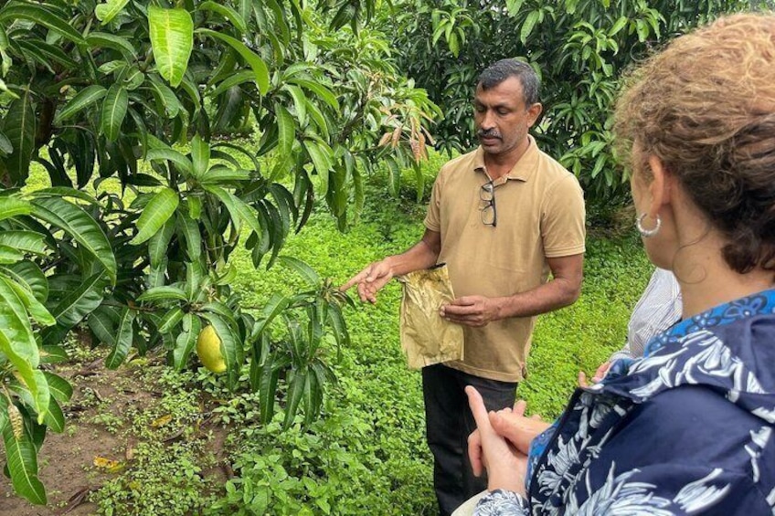 Organic Cooking Class with Garden Visit by Sinhagiri 5
