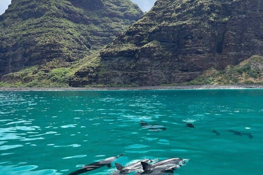 Kauai: Nā Pali Coast Zodiac Raft Expedition and Snorkeling 4