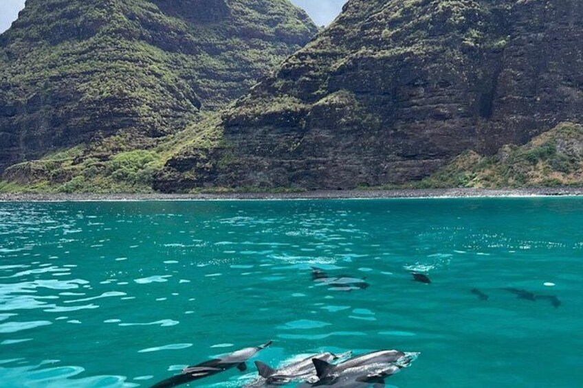 Kauai: Nā Pali Coast Zodiac Raft Expedition and Snorkeling 3