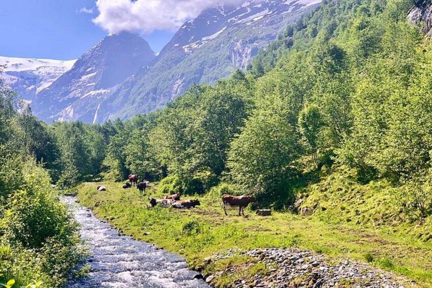 A river flowing through a mountainous landscape with grazing cows. 3