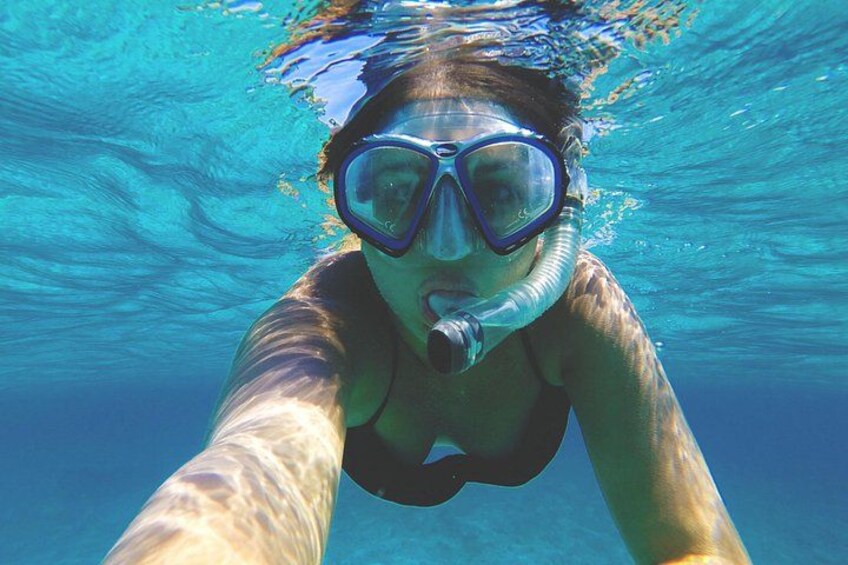 Guided Snorkeling in Negombo – Explore Marine Life & Coral Reefs 4