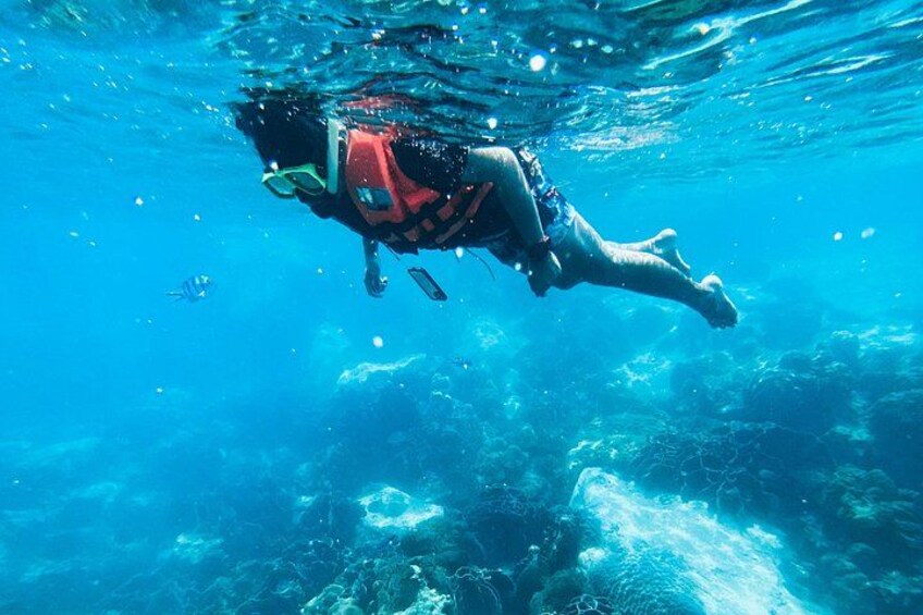 Guided Snorkeling in Negombo – Explore Marine Life & Coral Reefs 5
