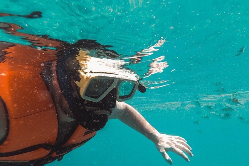 Guided Snorkeling in Negombo – Explore Marine Life & Coral Reefs 2