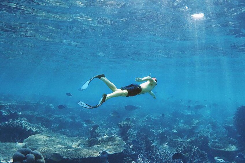 Guided Snorkeling in Negombo – Explore Marine Life & Coral Reefs 3