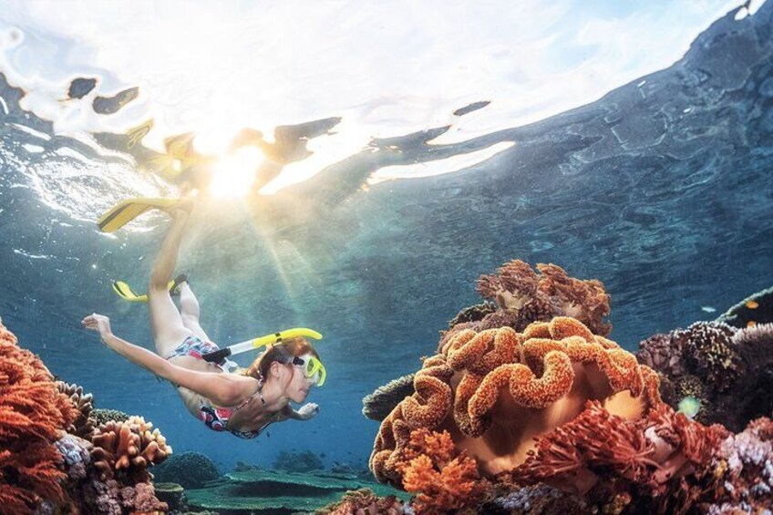 A person snorkeling underwater with coral formations and sunlight filtering through the water. 2
